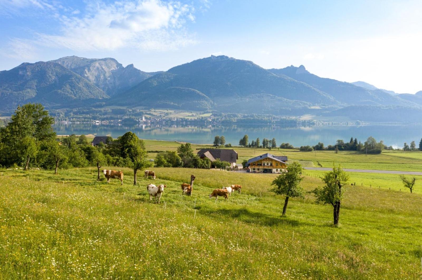 Billede 5: Fumerhof