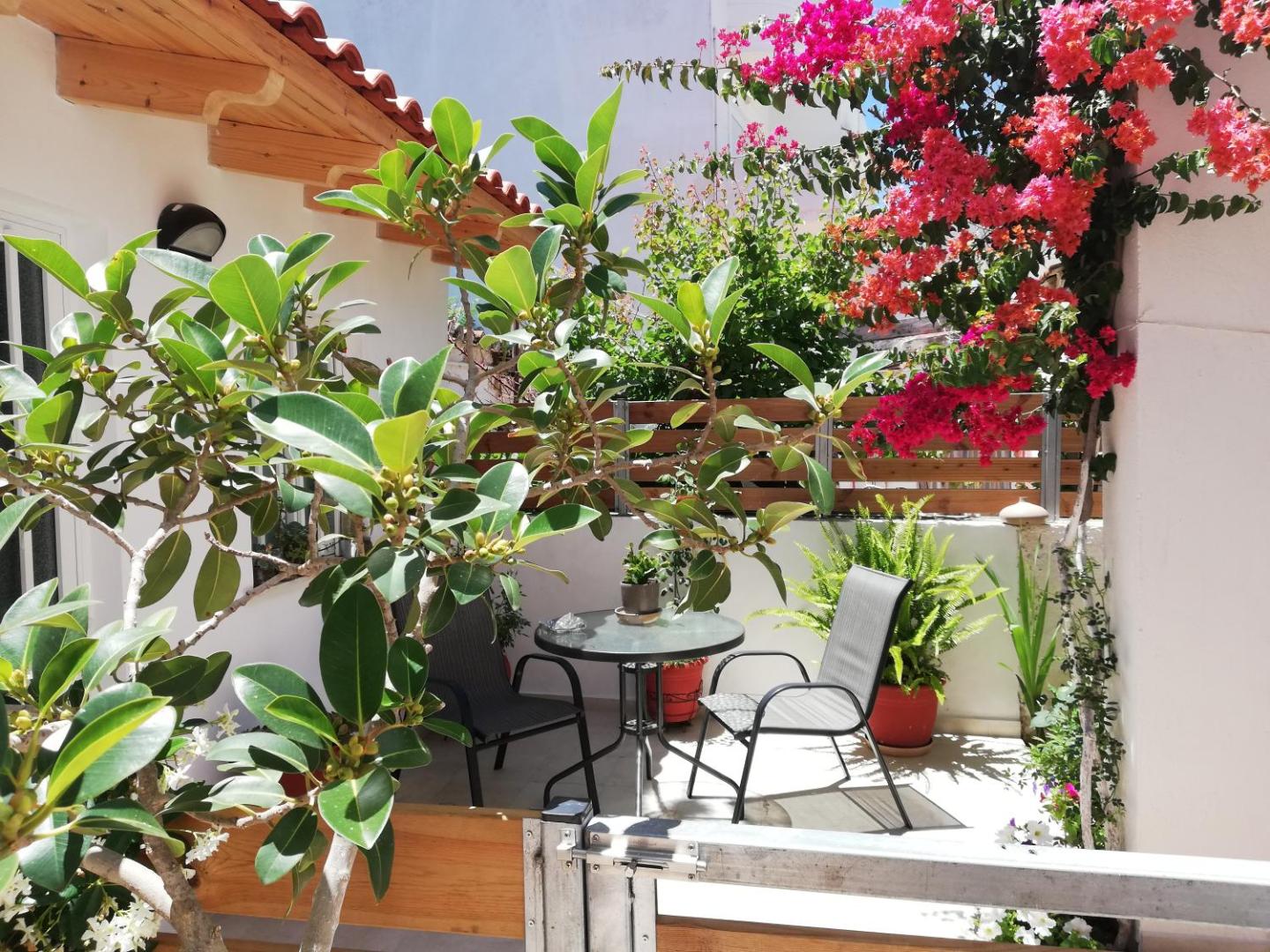 Foto 9: Small Studio with Yard