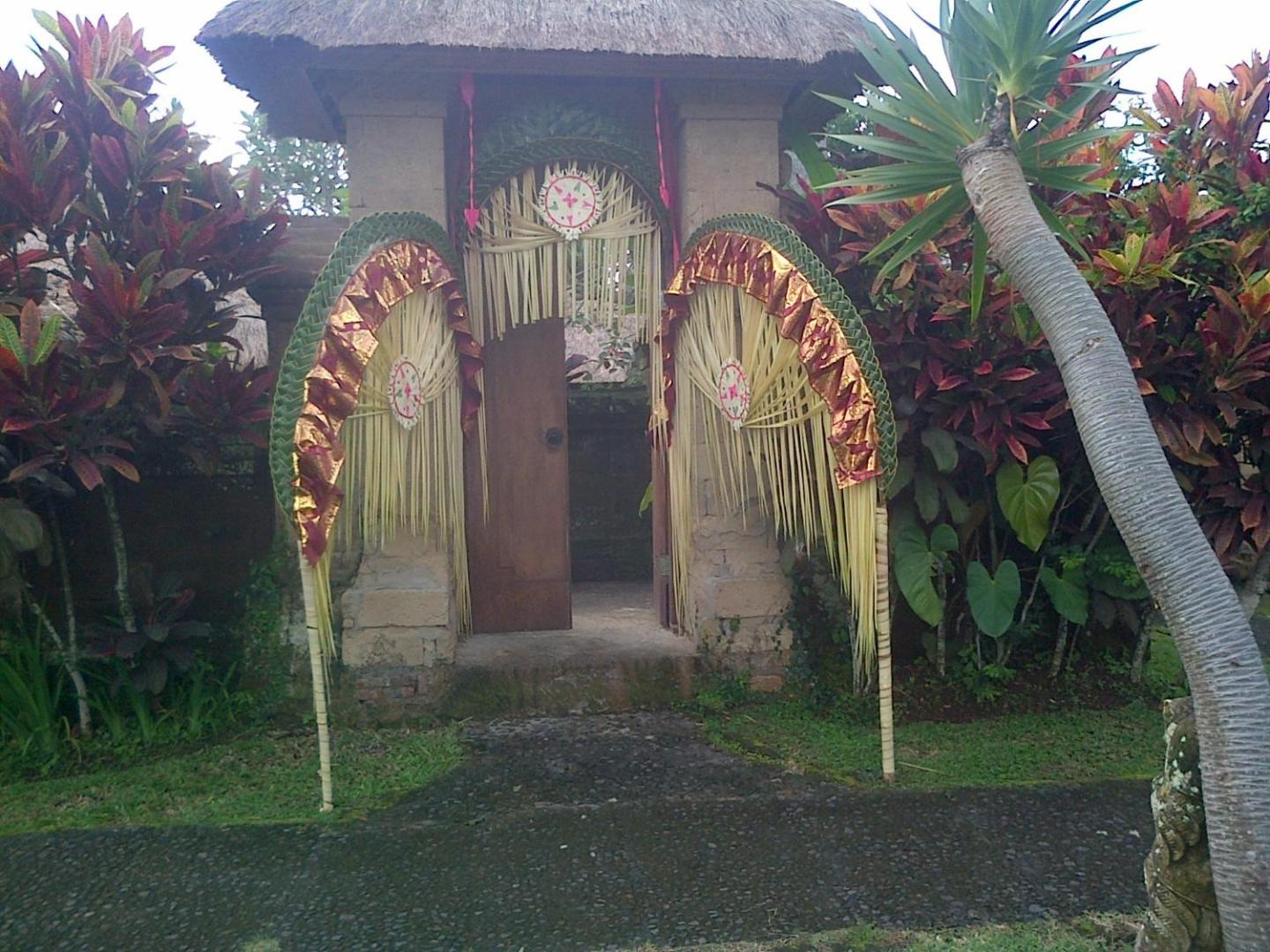 Photo 45