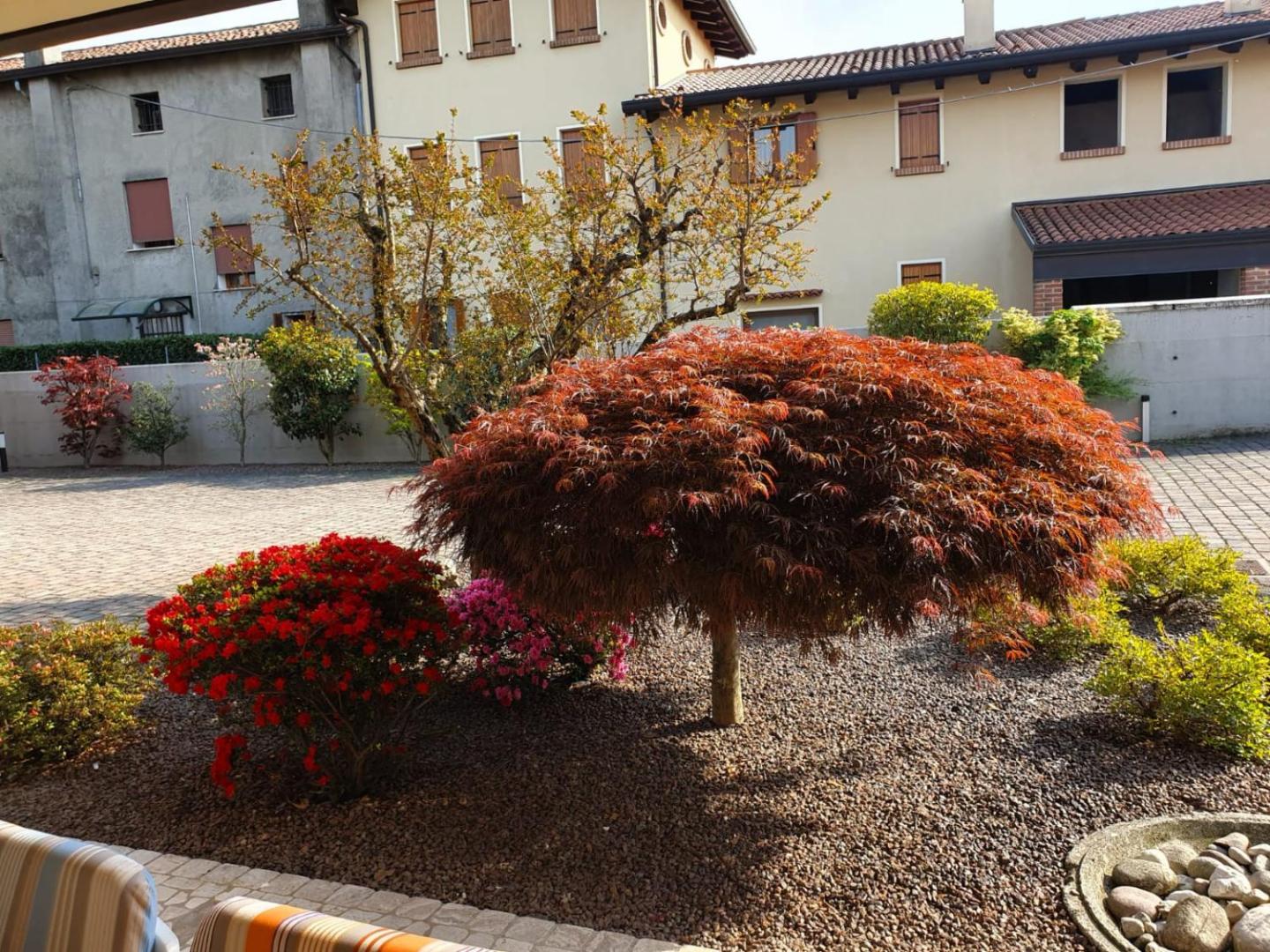Casa Sofia photo 4