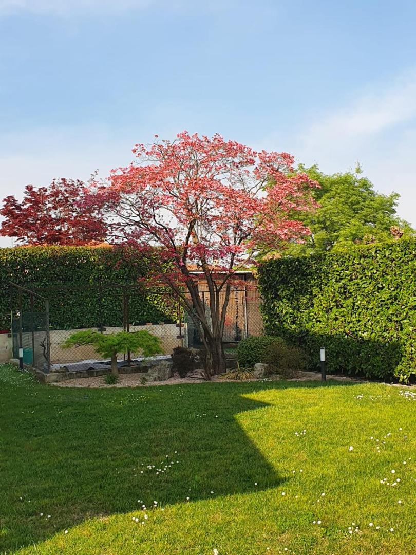 Casa Sofia photo 10
