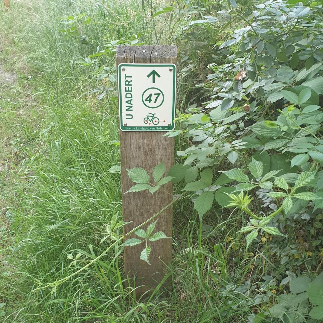 Foto 10: BGLV