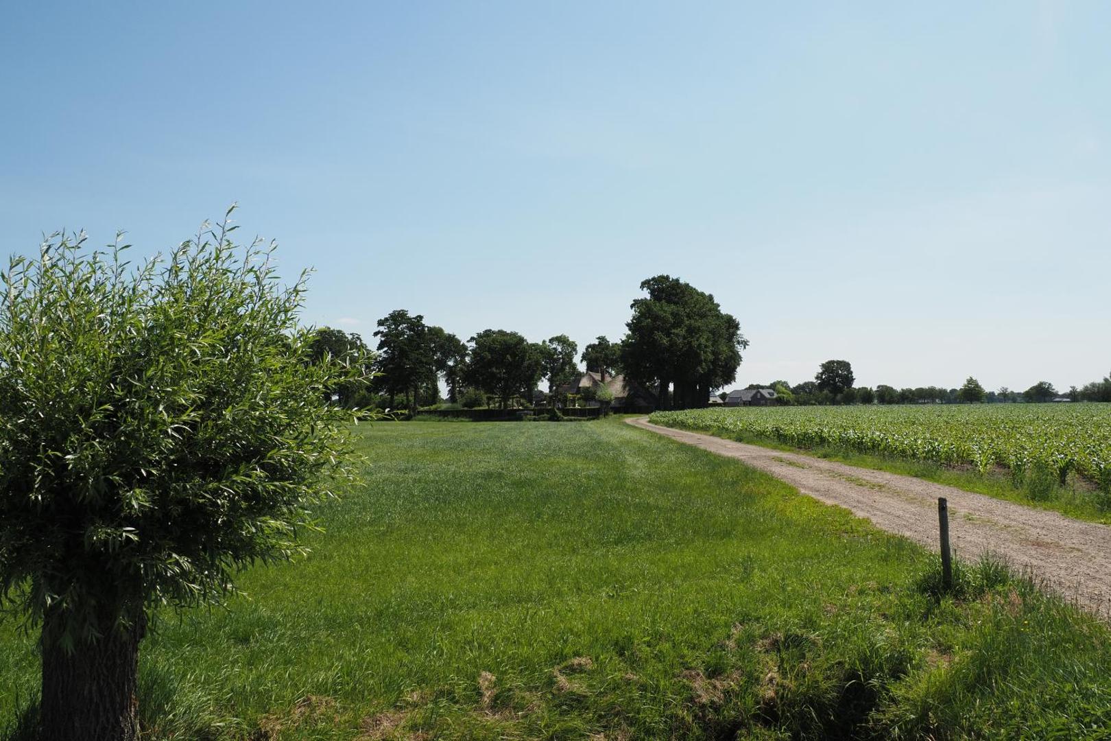 Kuva 5: Bed & Breakfast De Oude Heerd