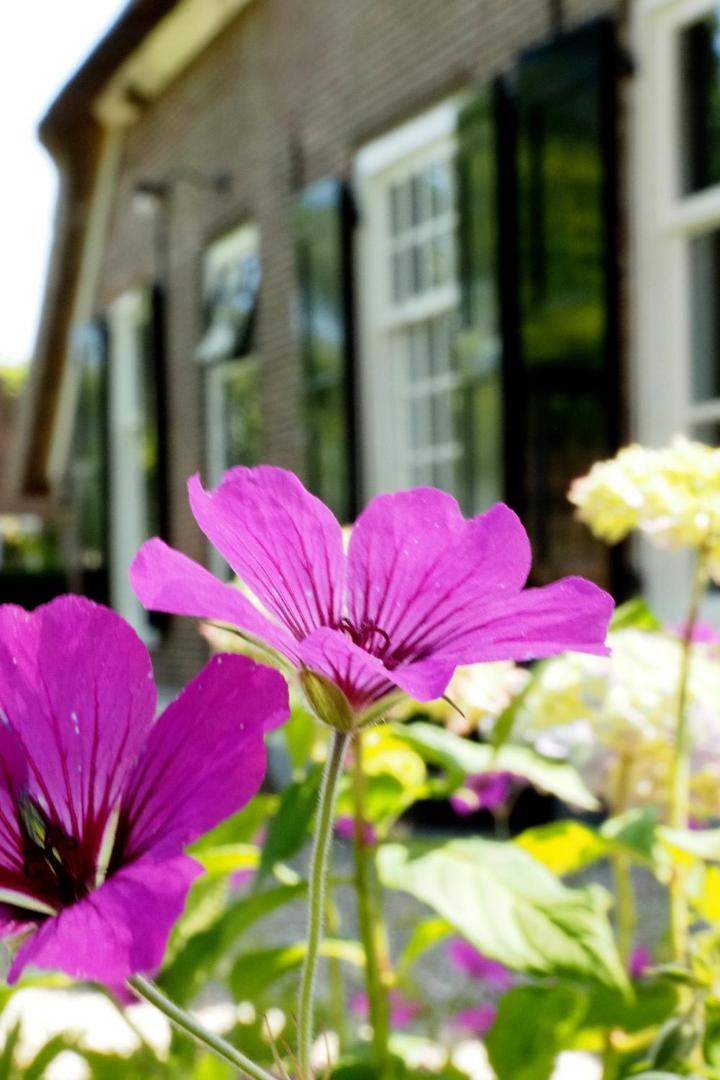 Kuva 9: Bed & Breakfast De Oude Heerd