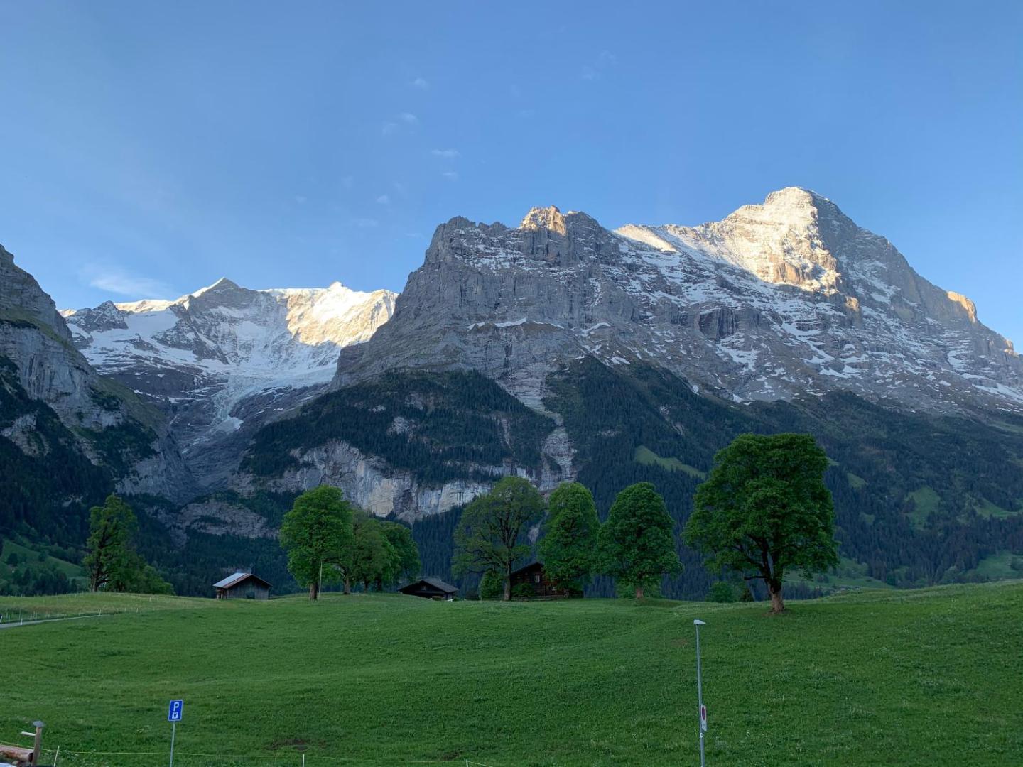 Foto 6: Eiger, Jungfrau, luxury garden apartment
