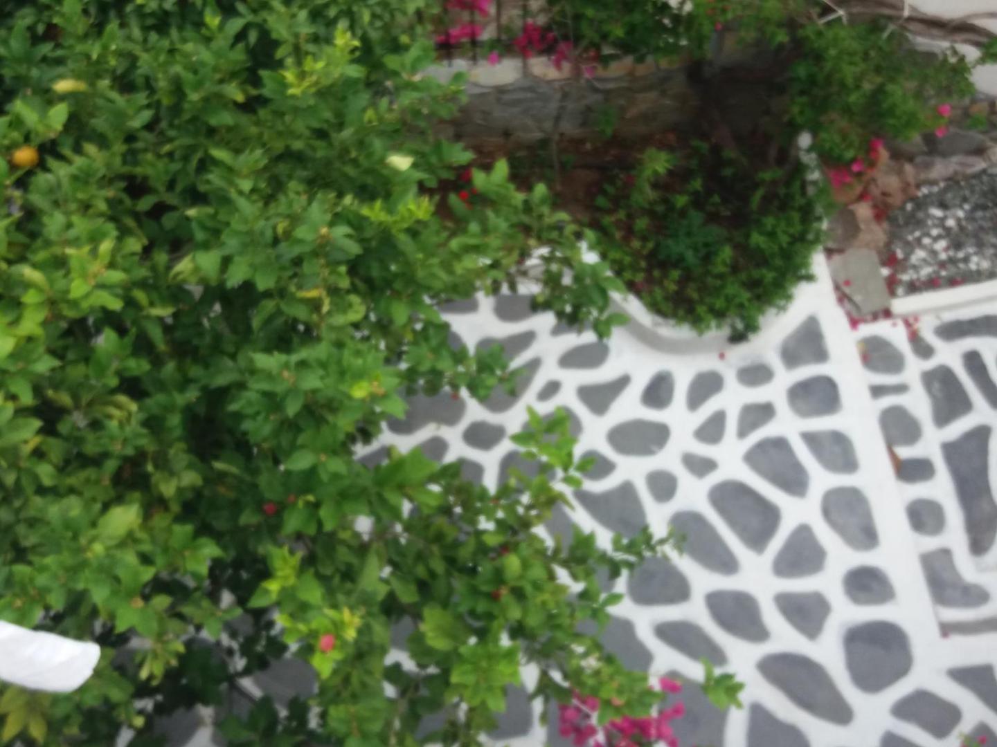 Photo 9 : Studio in Poros