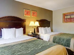Bilde 7: Spark by Hilton Sterling Dulles Airport