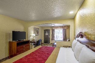 Photo 5 : Super 8 by Wyndham Jackson MS Near the Fairgrounds