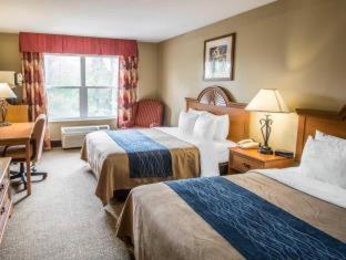 Fotografie 9: Spark By Hilton St. Augustine I 95