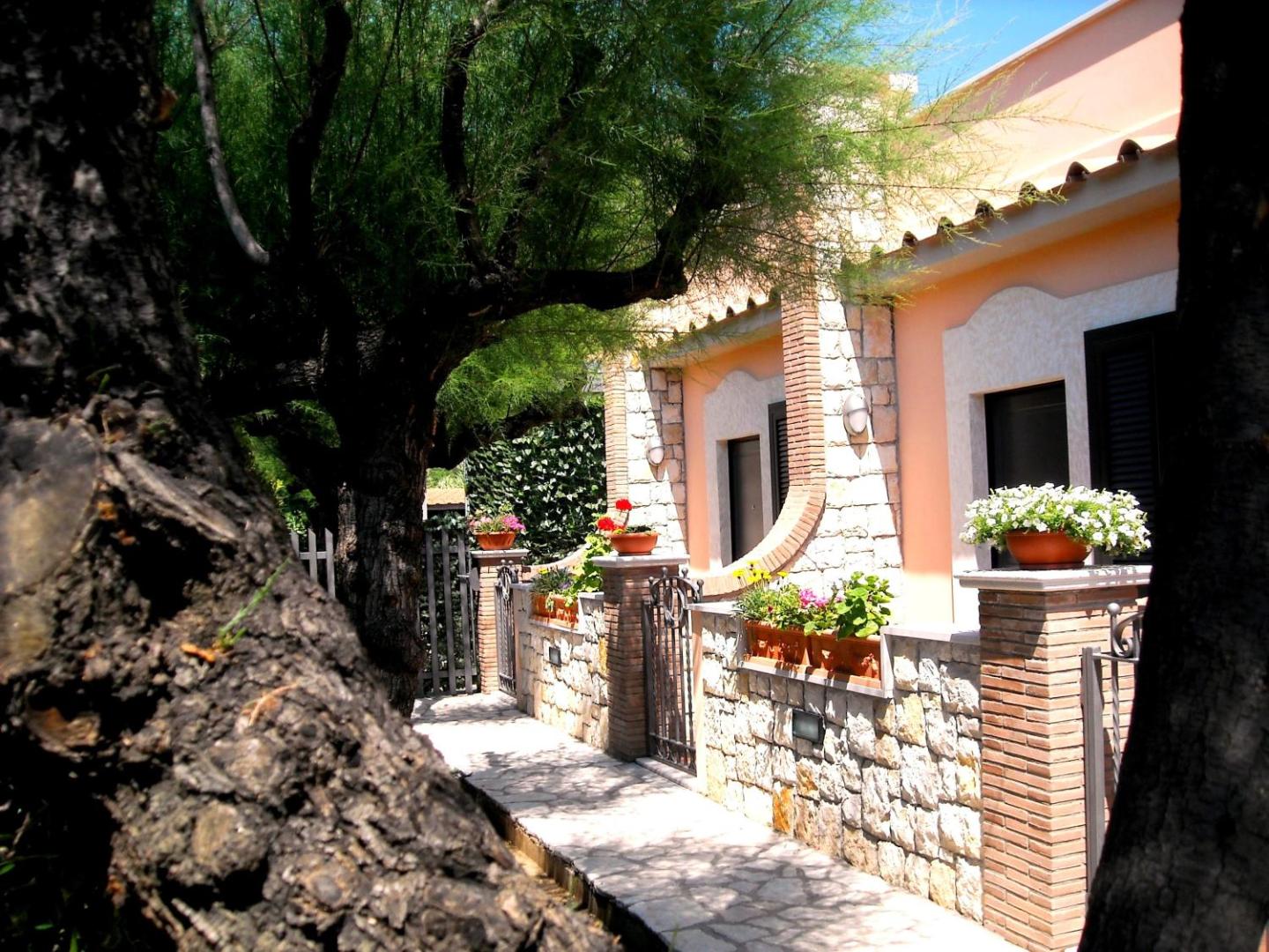 Foto 10: Loremar