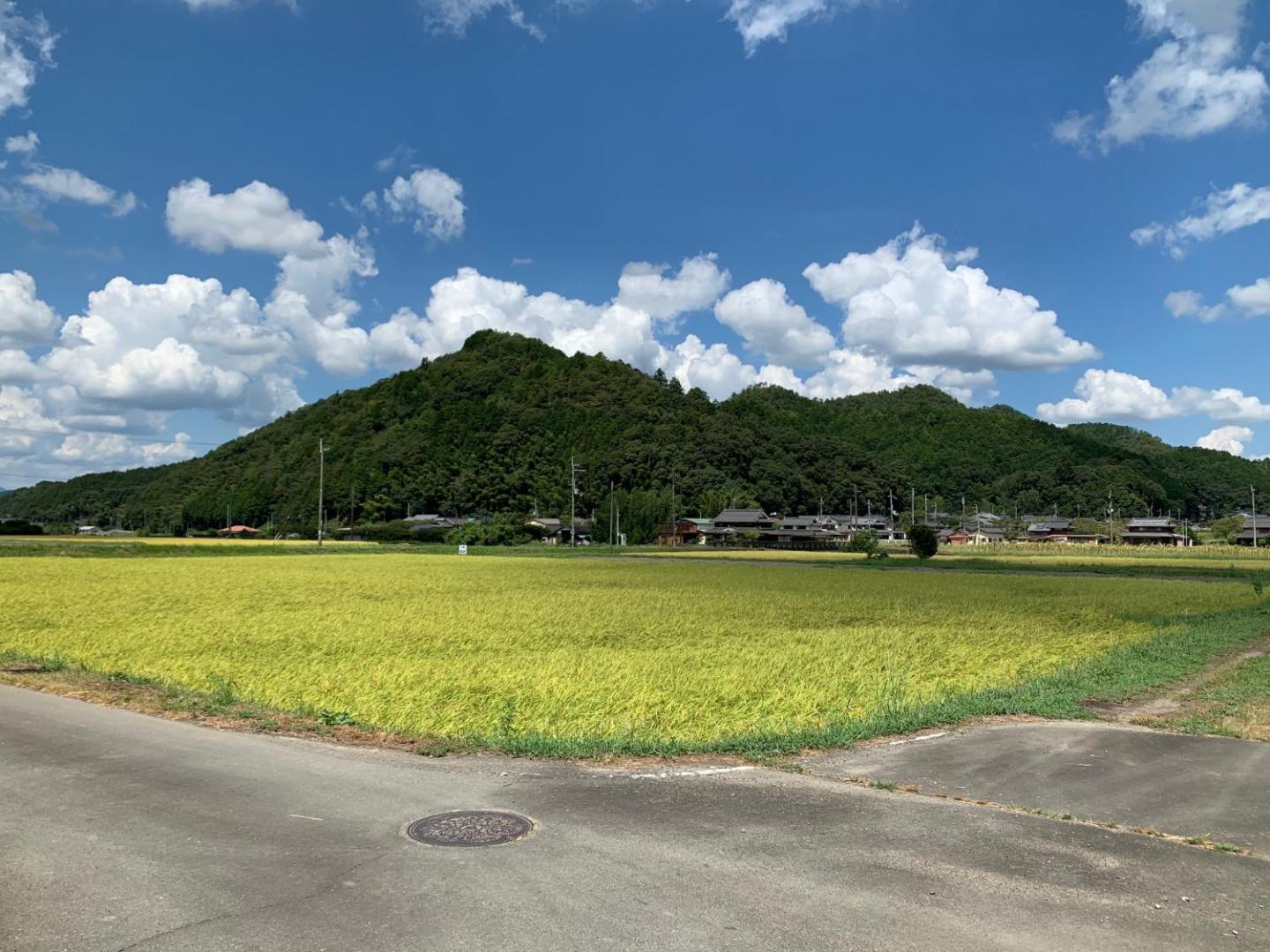 Billede 6: 民泊はのこの庭