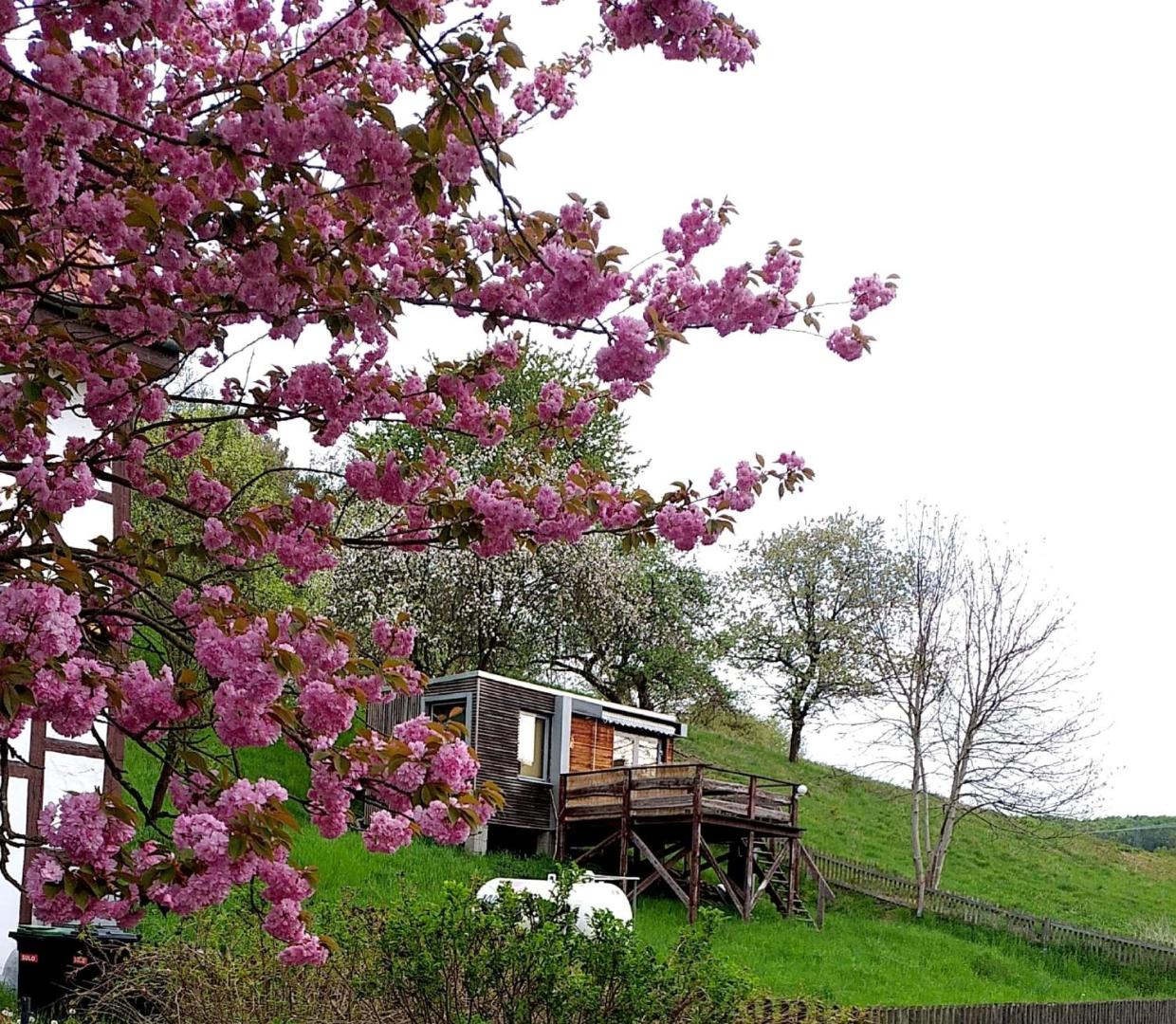 Bilde 4: Tiny House mit Klima und Heizung, in idyllischer Ortsrandlage