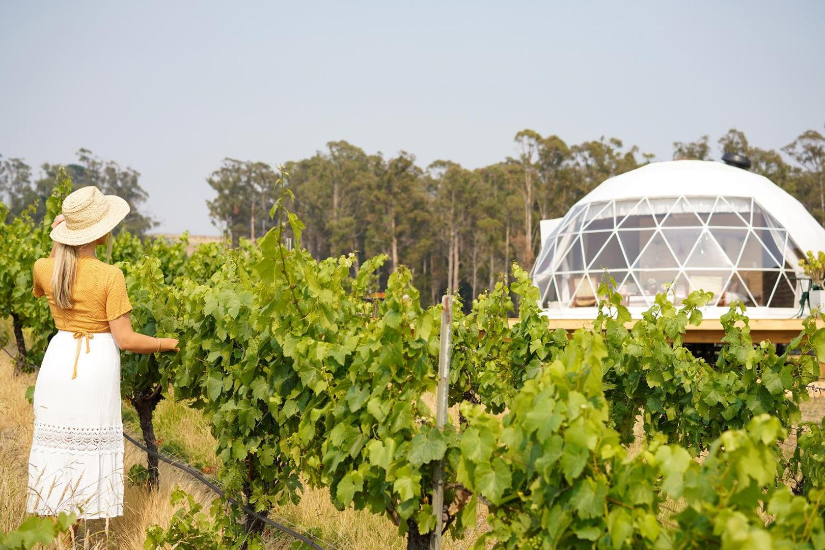 Foto 7: Domescapes in the Vines