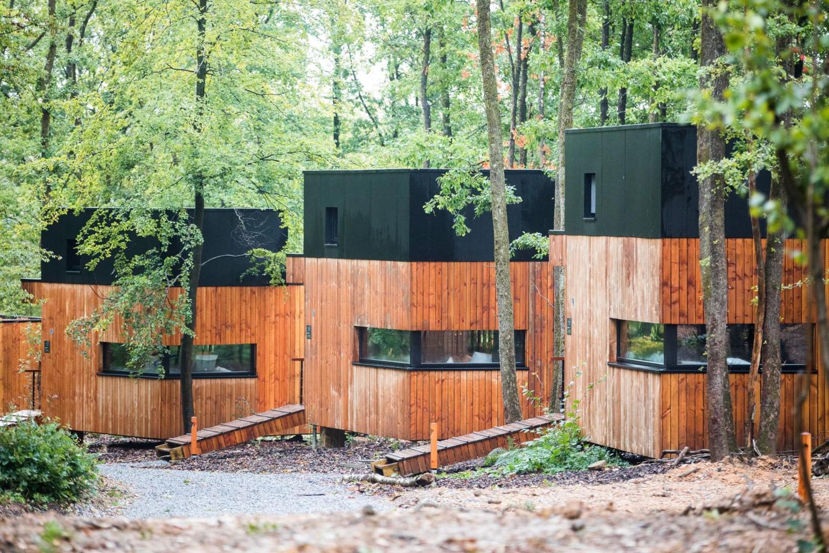 Foto 5: Forest Cube