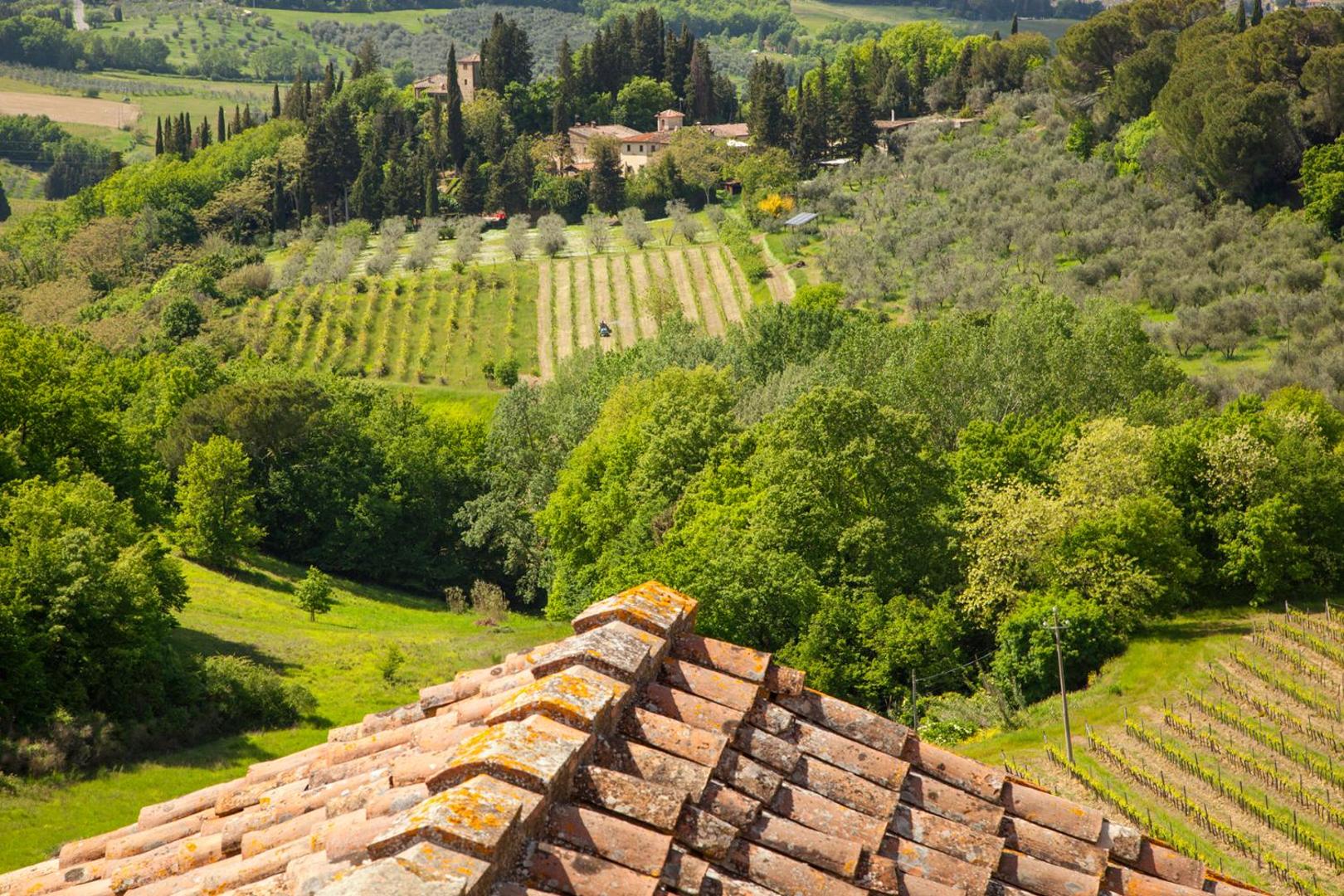 Foto 10: Poderi in Chianti