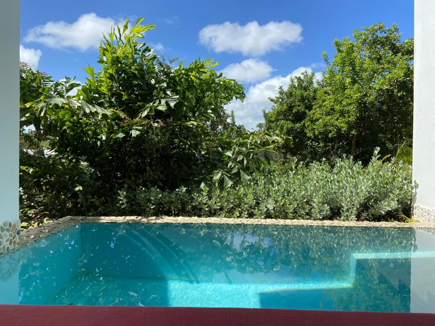 Bilde 8: Escape at Nonsuch Bay Antigua - All Inclusive - Adults Only