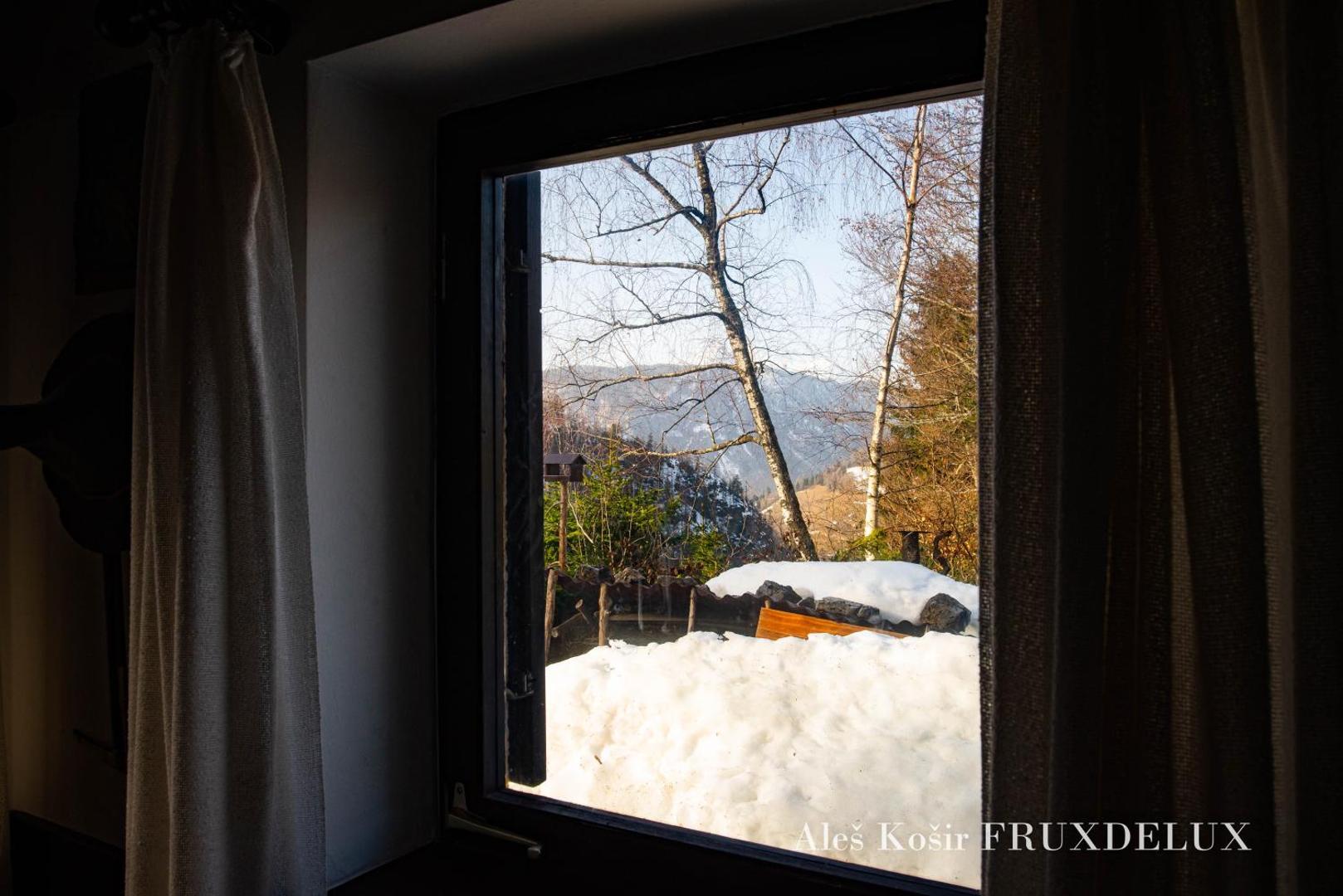 Billede 9: Pet & Family Friendly House Viktorija - house near Golica with Triglav view