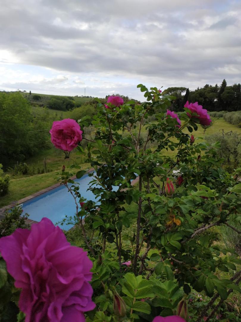 Foto 2: Poderi in Chianti