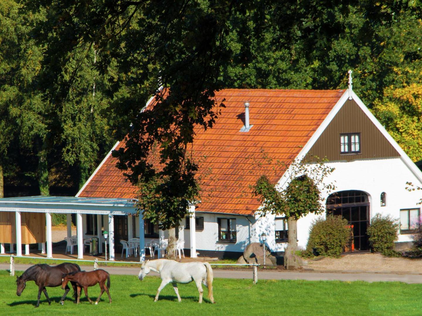 Zdjęcie 8: Chalet in Ootmarsum on Kuiperberg
