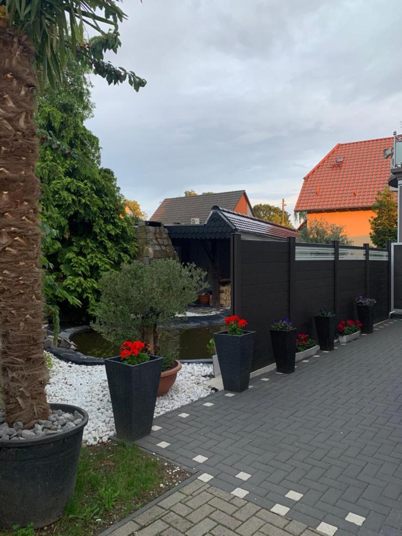 SAM - Gasthaus.MD的照片5