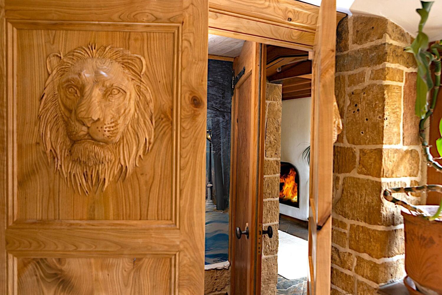 Foto 3: Aslan