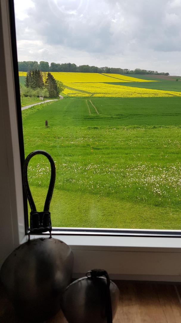 Fotografie 2: Waldblick