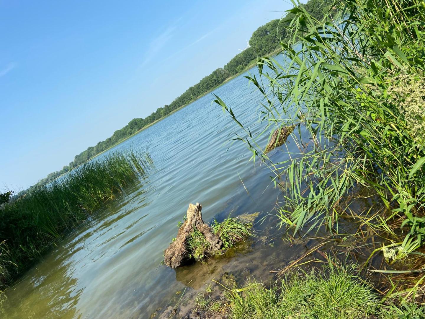 Billede 7: K 357 - Low budget Hotel in Ratekau bei Lübeck