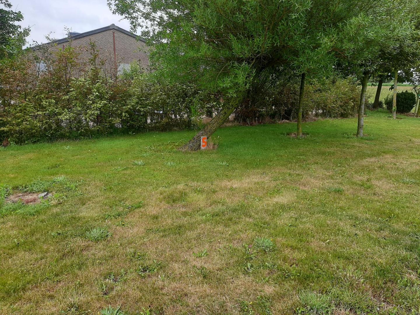 Zdjęcie 10: empty spot on grass Camping The Tulip no beds
