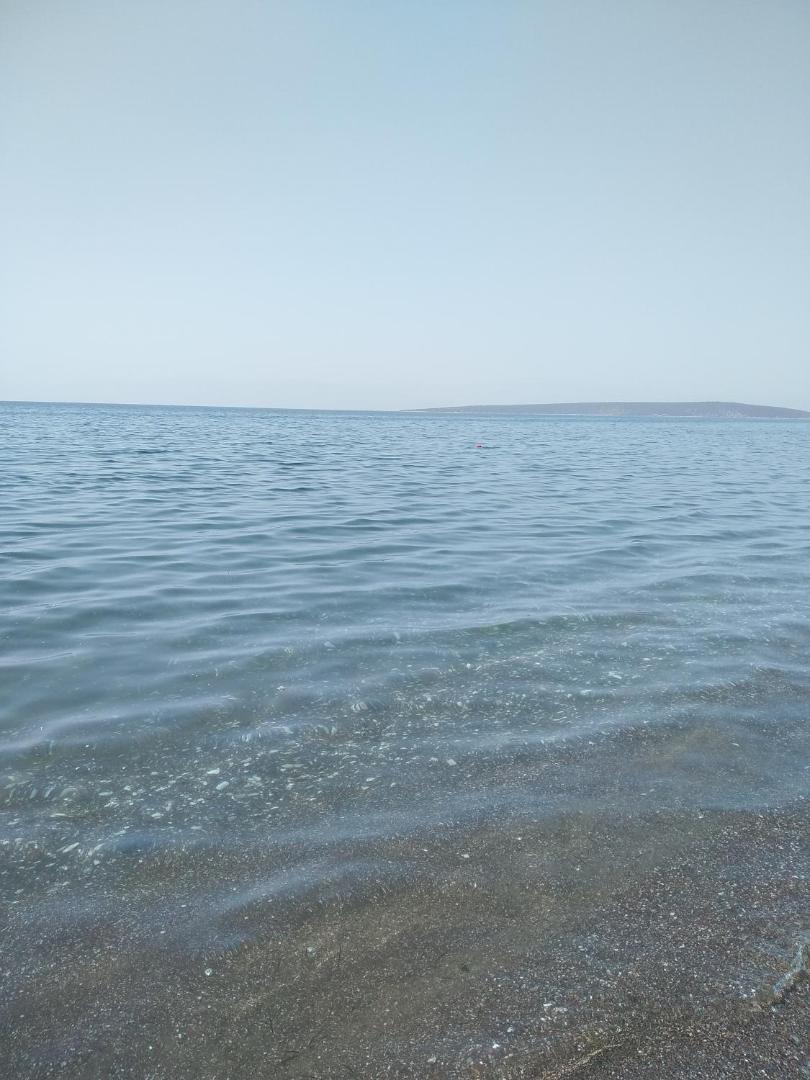 Fotografie 9: Πενυ Καντια 1ος Ν 4