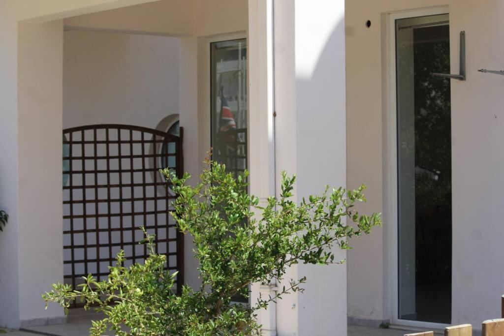 Spacious & Cozy Apartment, with big yard, in Kosの写真10