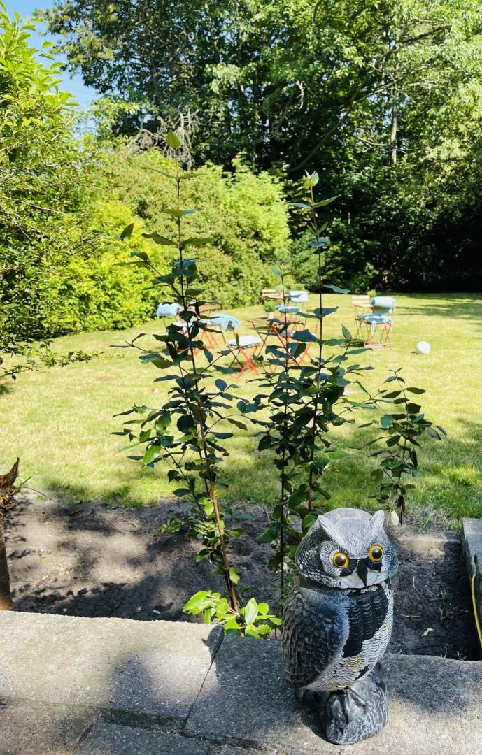 Fotografia 3: aday - Aalborg mansion - Open bright apartment with garden
