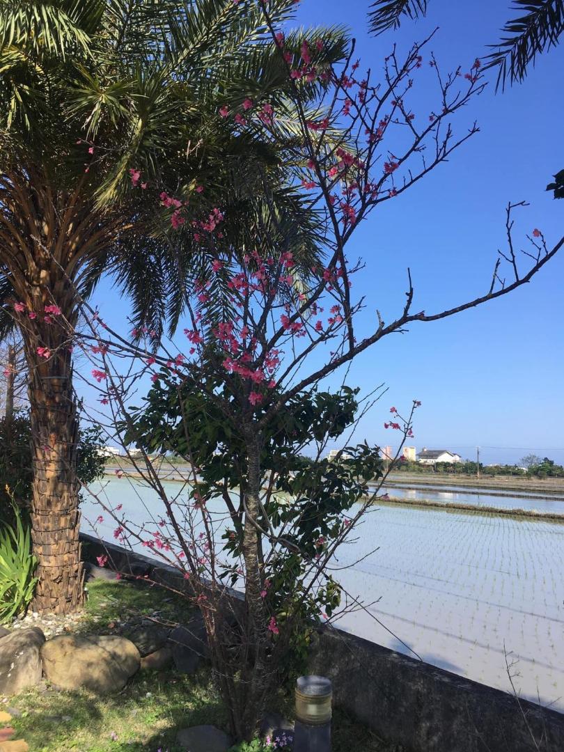 Photo 9 : 宜蘭樂活小屋