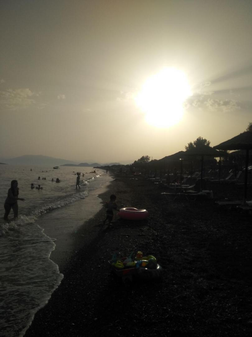 Billede 4: ΠΕΝΝΥ ΚΑΝΤΙΑ 1ος Ν 2