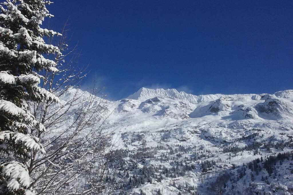 Billede 3: Rustic & A Chalet 'Le Sert du Grey - Vaujany