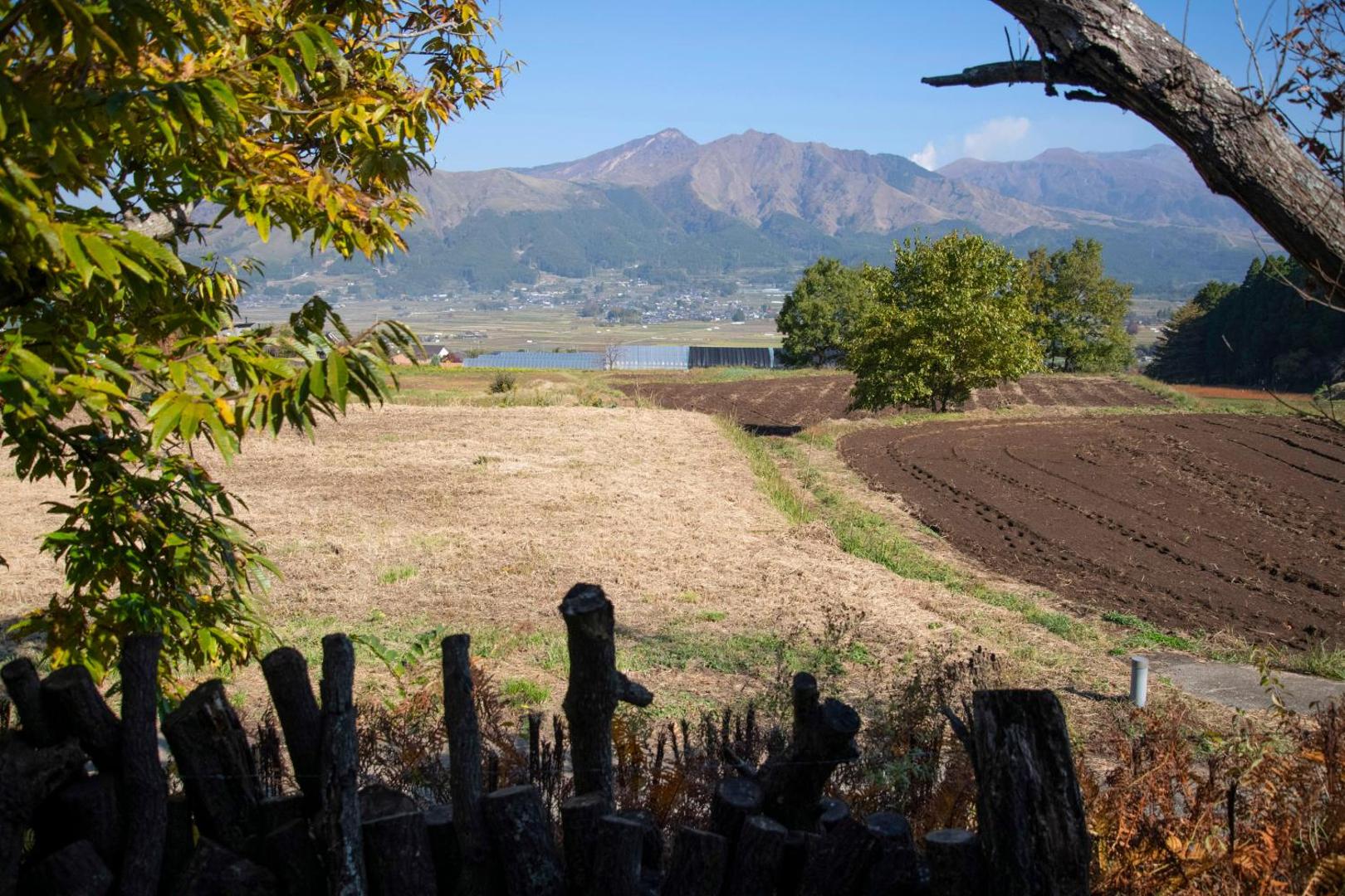 Foto 9: Soil