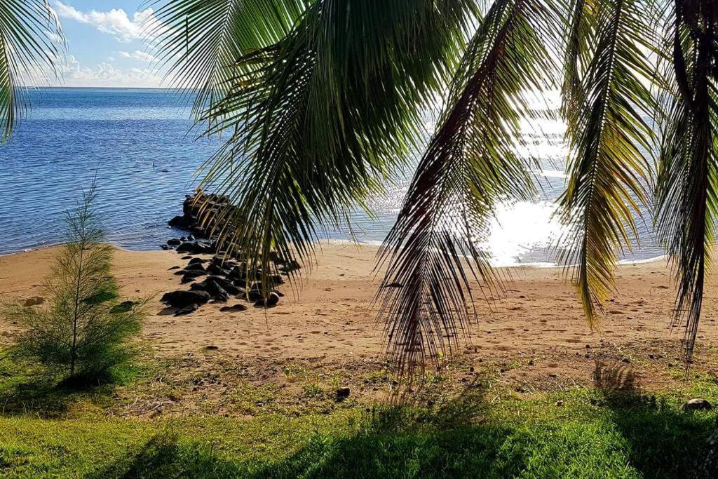 Billede 10: SUNSETVIEW, studio, private beach, amazing swim & sunset