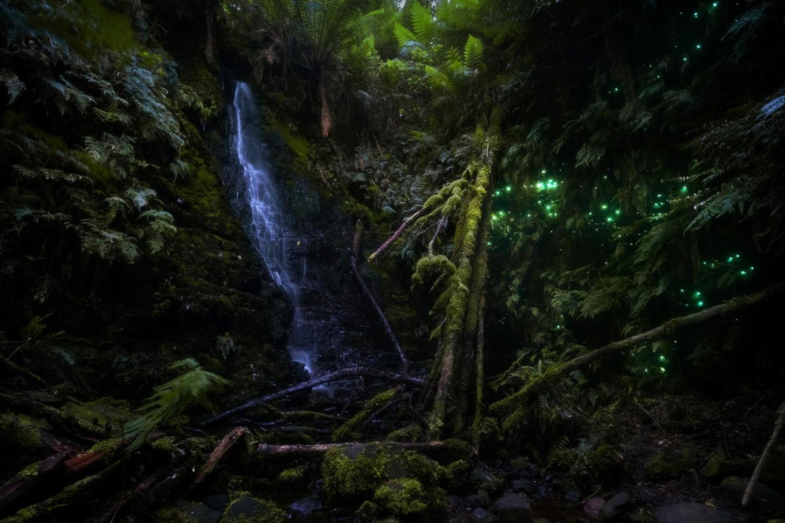 Foto 2: The Source, Otways