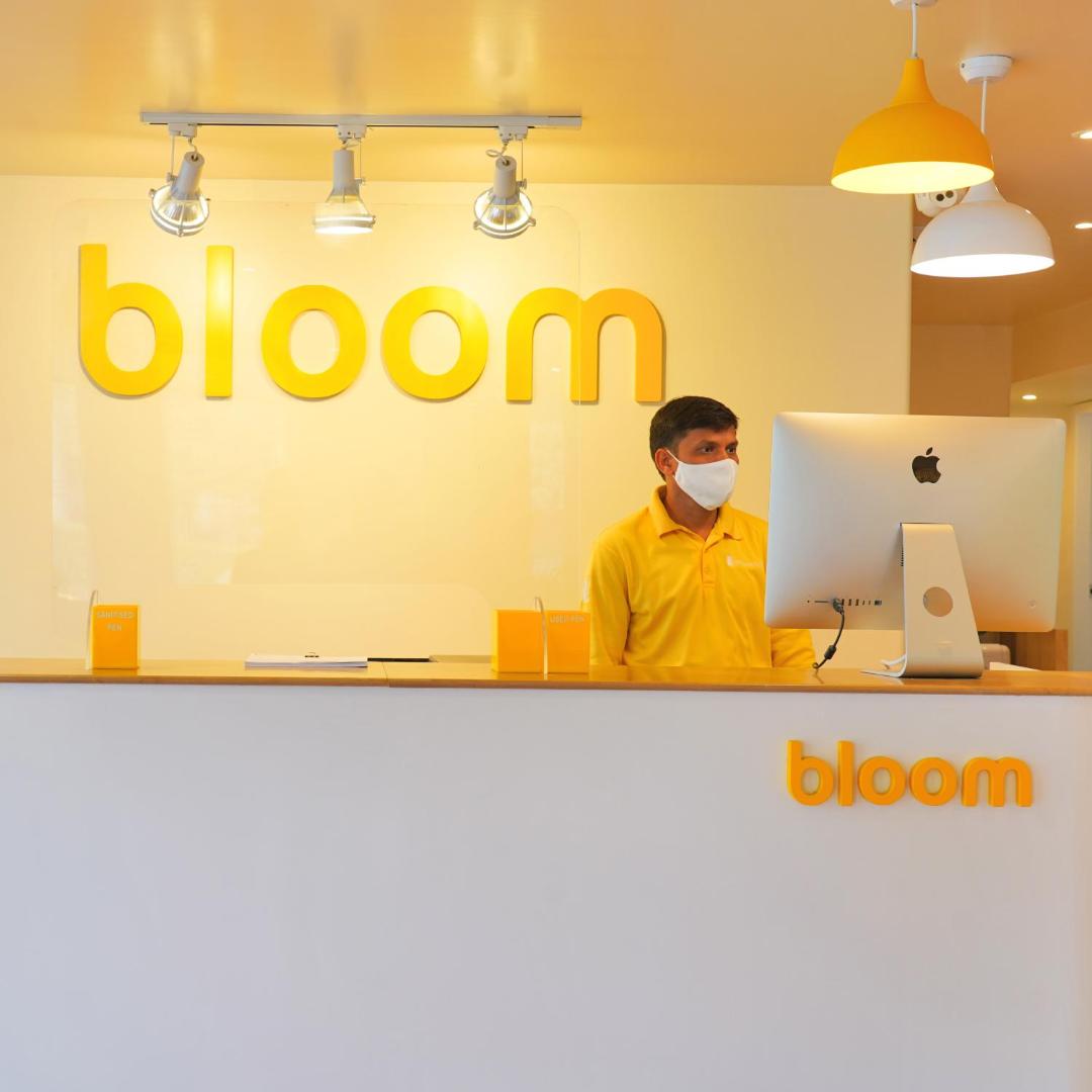 Zdjęcie 8: Bloom - Golf Course Road
