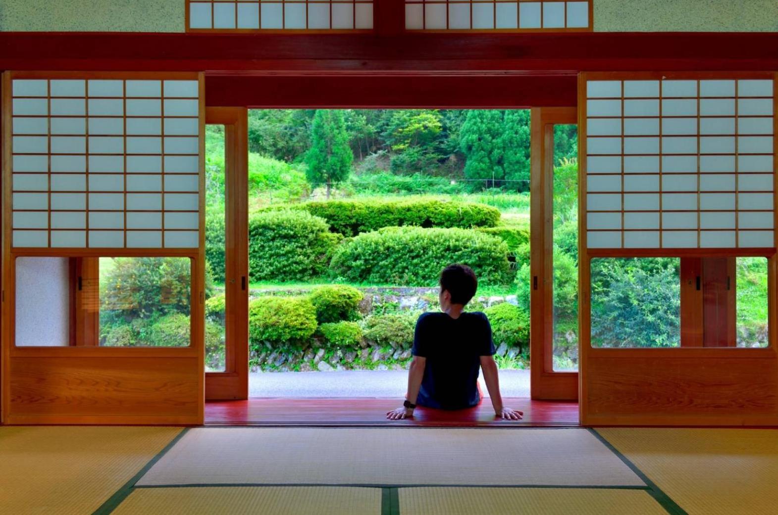 泰山木美山の写真2
