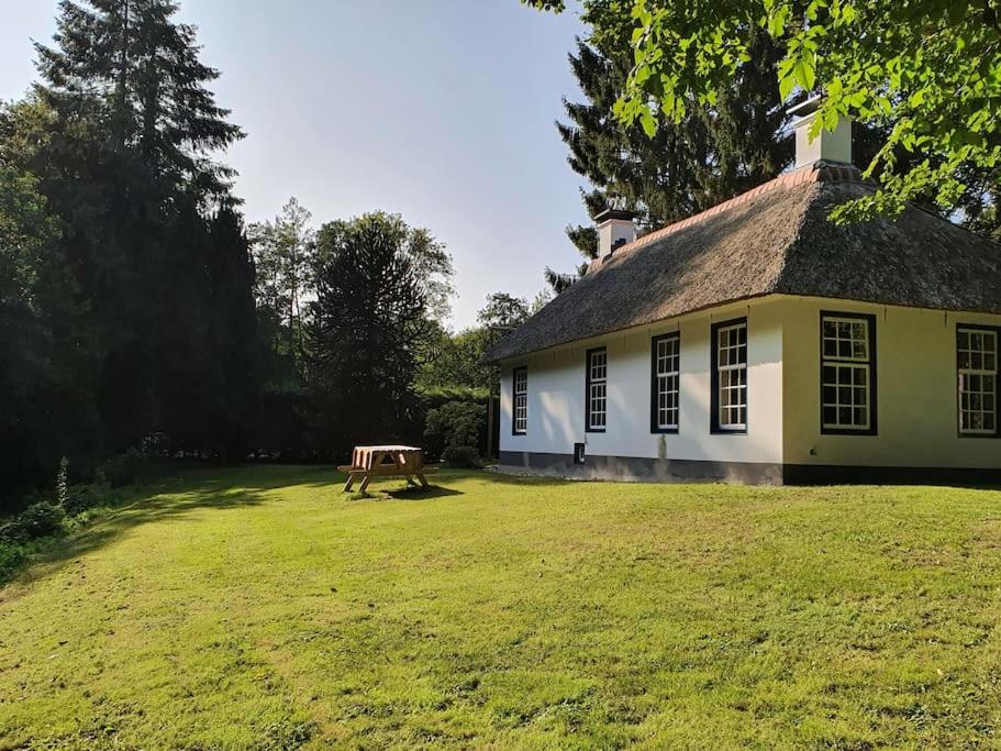 Foto 5: Midden in de Friese bossen op landgoed Princenhof