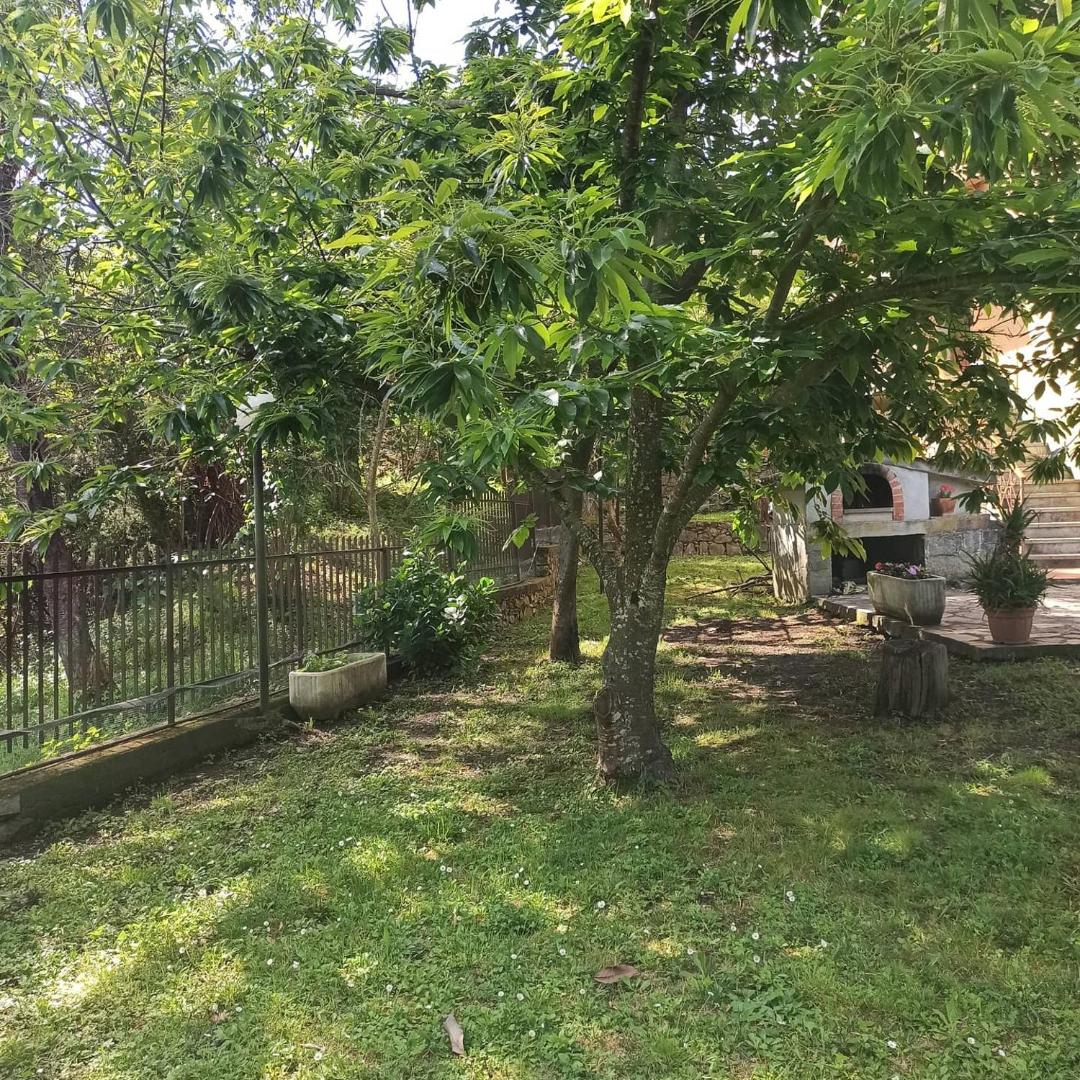 Billede 2: Agriturismo Le cicale e la formica