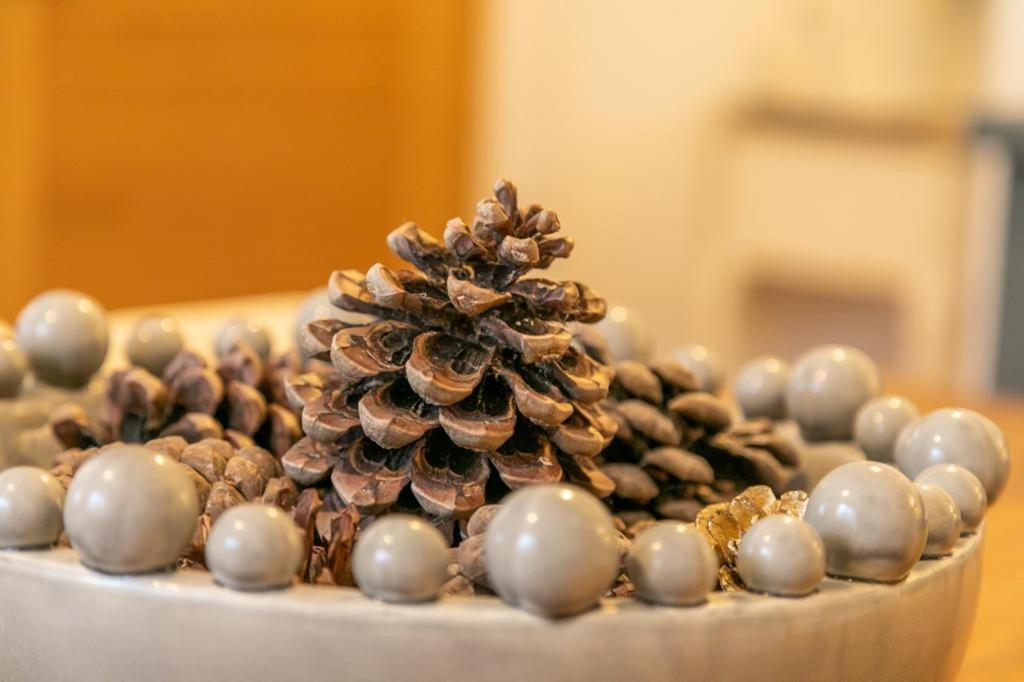 Fotografia 6: Pinecones