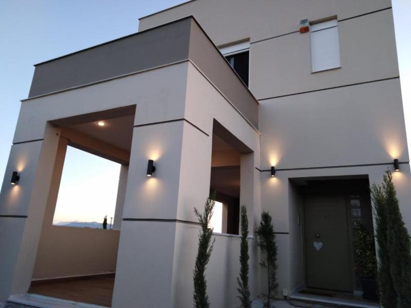 Foto 7: Panaritis
