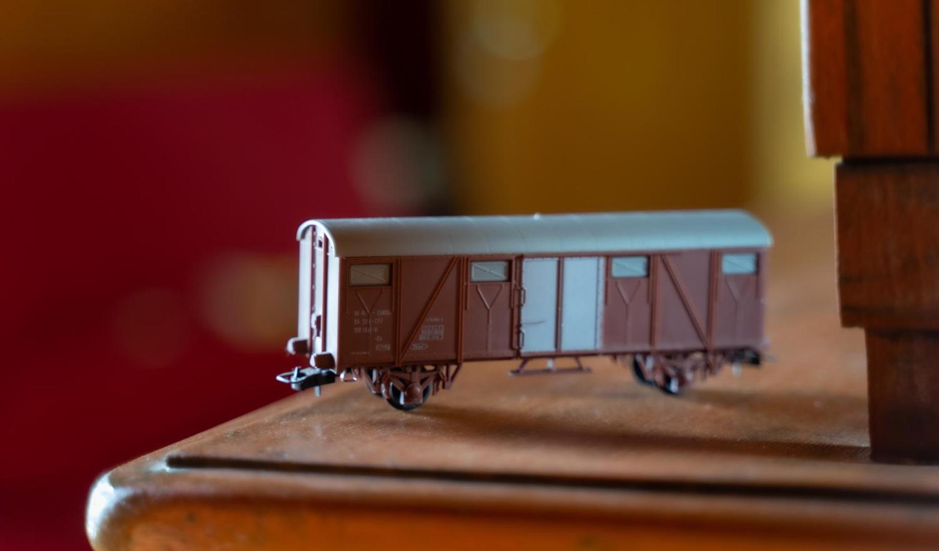 Train in the Forestの写真6