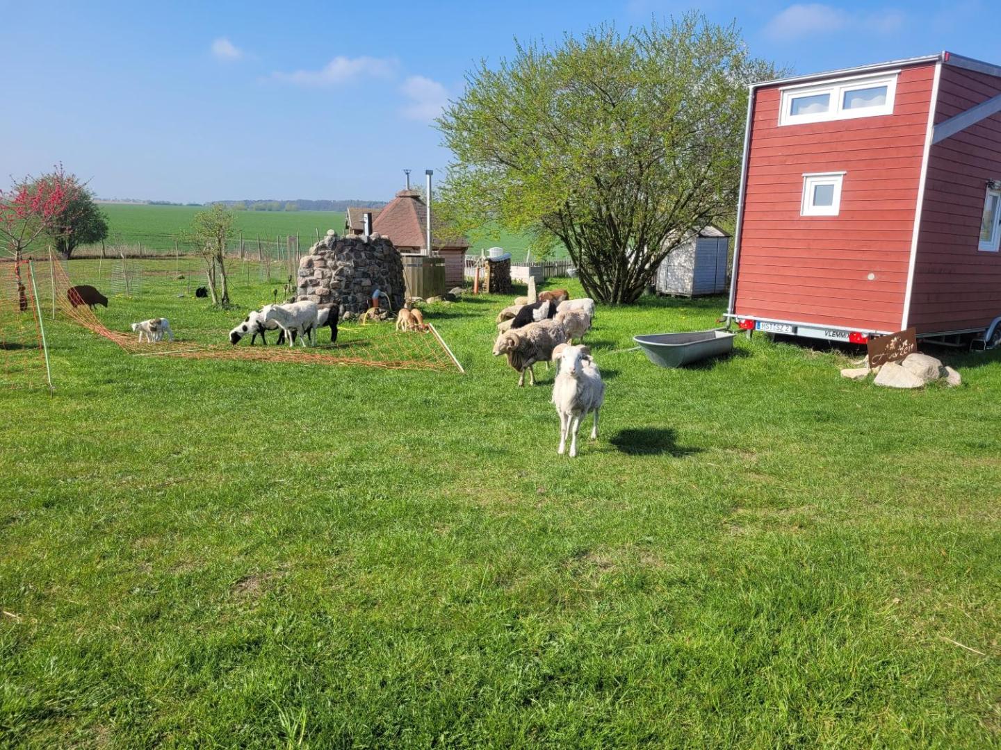 Foto 6: Tiny House