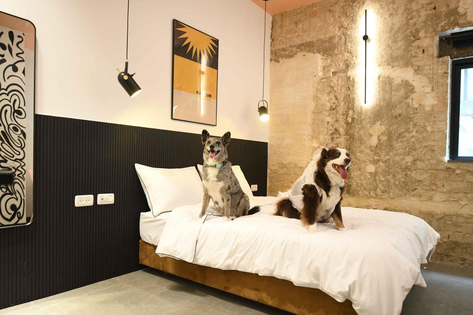 Kuva 9: Pixel Dizengoff Square - Hotel & Spa