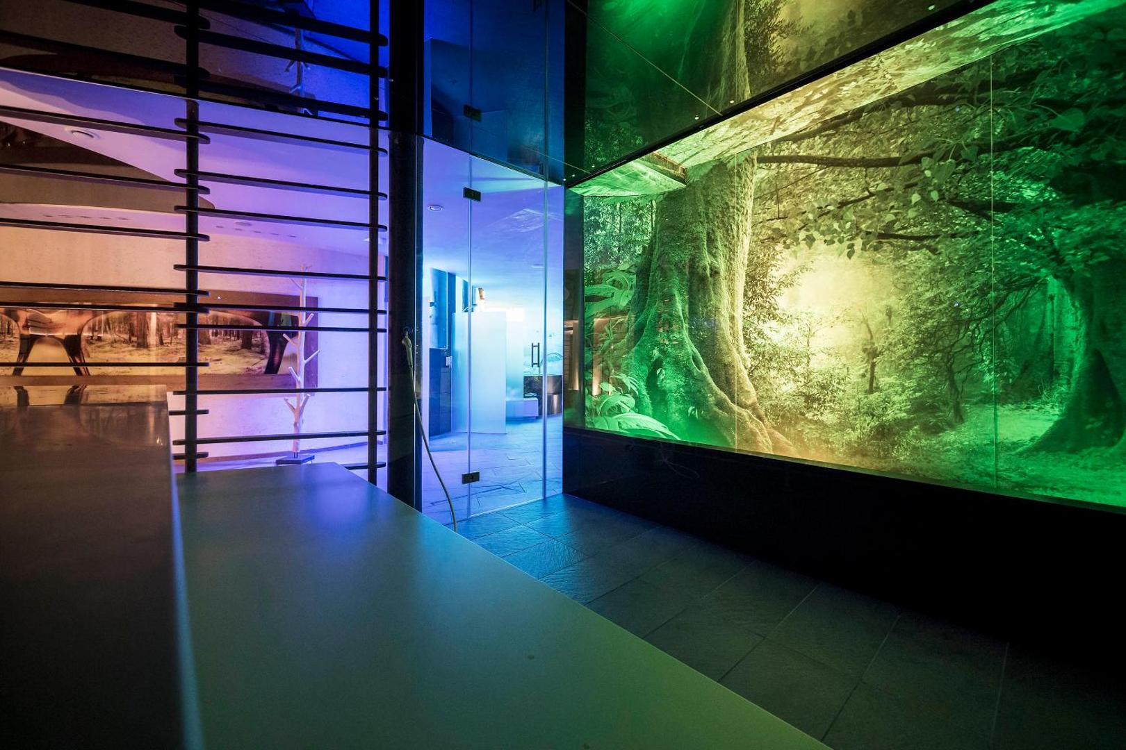 Photo 9 : SPA & Relax Hotel Erika