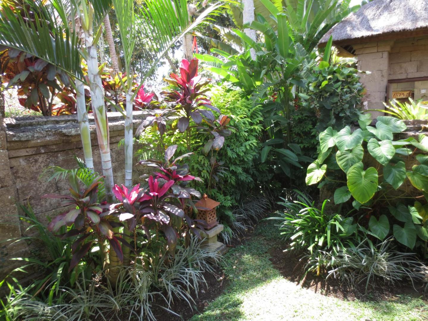 Photo 43