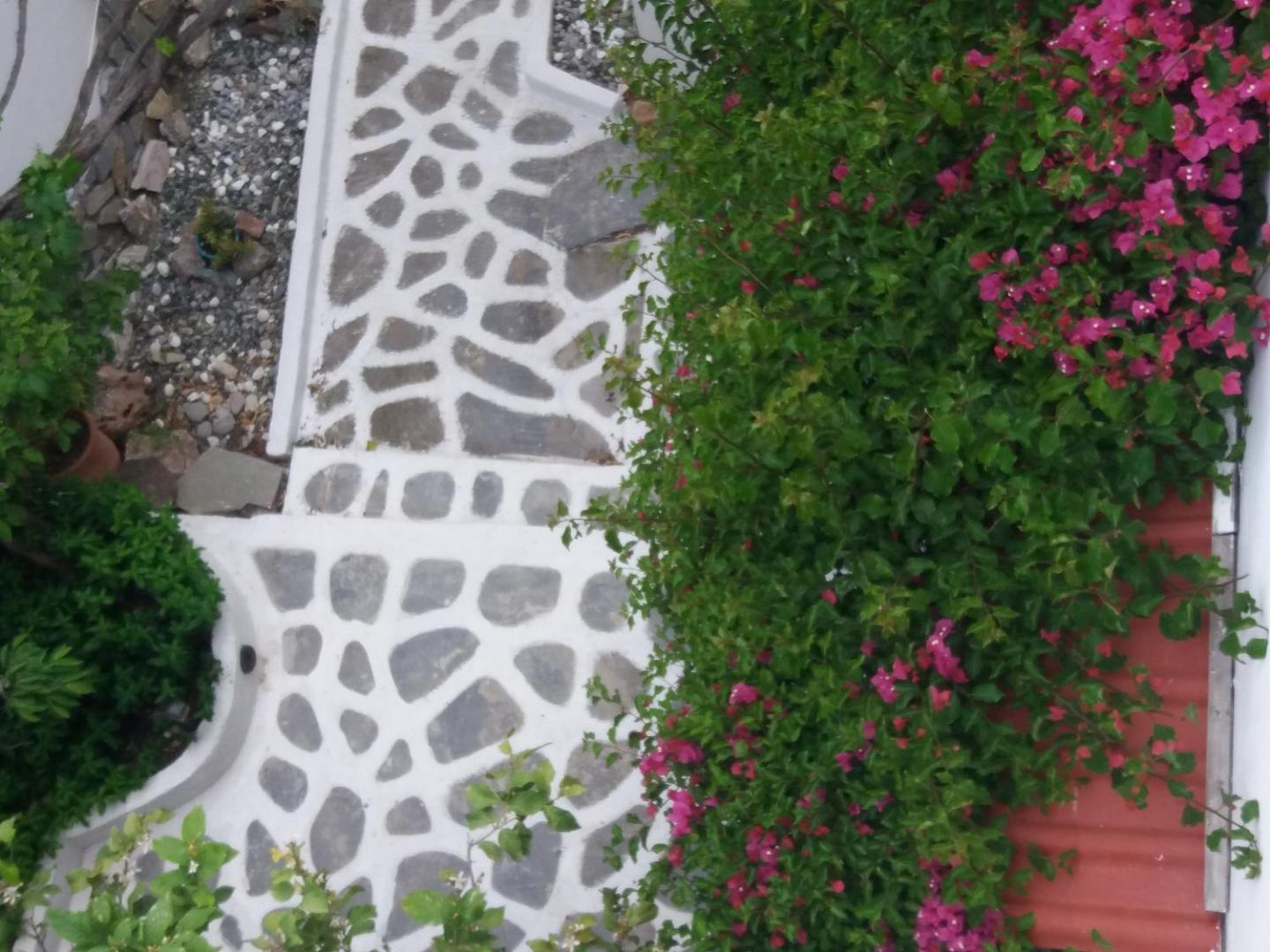 Photo 2 : Studio in Poros