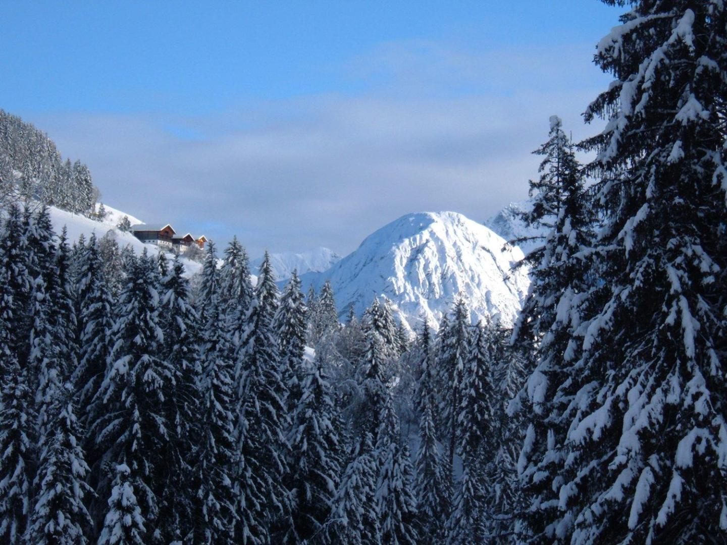 Bild 8: Bed & Breakfast Dolomiti Bey Haus Pinter